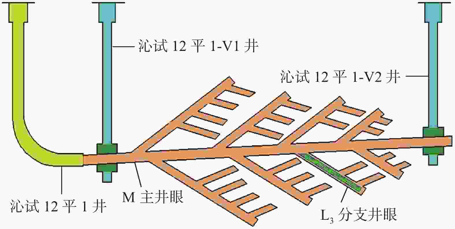 煤层气多分支水平井分支井眼重入筛管完井技术